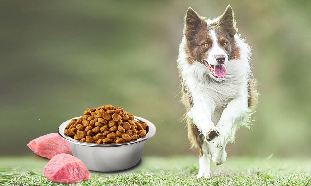 Karma dla psa FARMINA N&D Prime Kurczak i owoc granatu Adult Mini 2,5 kg naturalne składniki wielkość krokietów