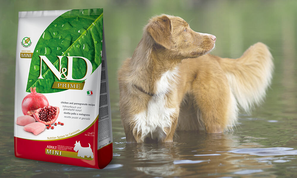 Karma dla psa FARMINA N&D Prime Kurczak i owoc granatu Adult Mini 2,5 kg dawkowanie analiza sklad