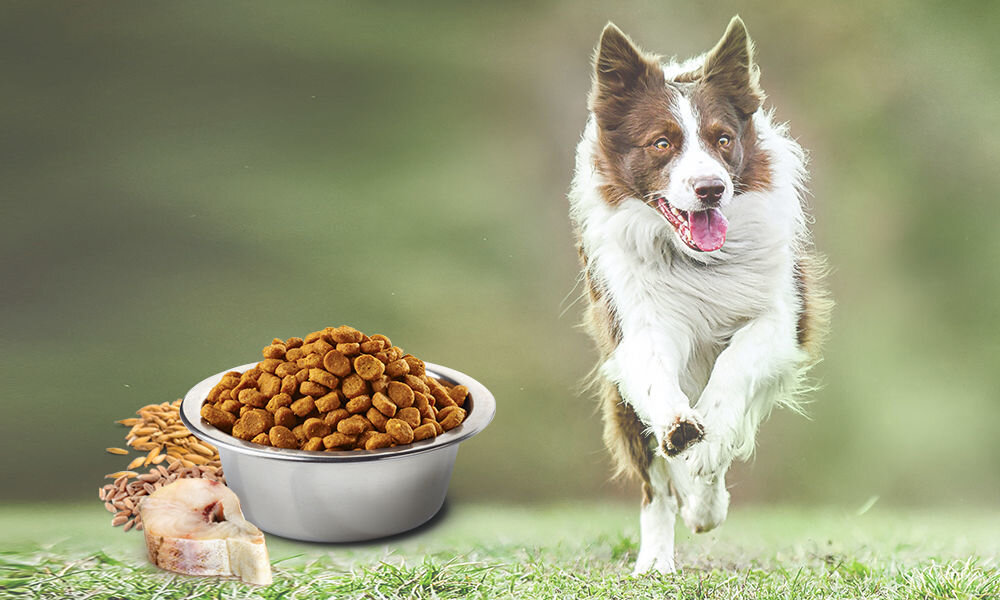 Karma dla psa FARMINA N&D Ocean Adult Mini Dorsz z owsem i pomarańczą 7 kg naturalne składniki wielkość krokietów