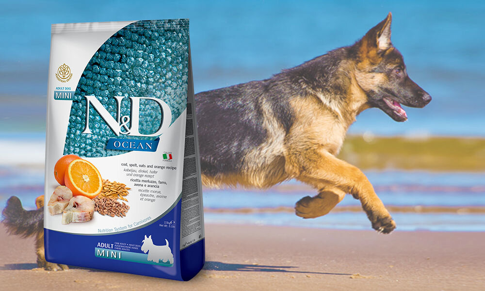 Karma dla psa FARMINA N&D Ocean Adult Mini Dorsz z owsem i pomarańczą 7 kg dawkowanie analiza sklad