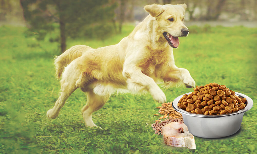 Karma dla psa FARMINA N&D Ocean Adult Mini Dorsz z owsem i pomarańczą 7 kg witaminy pierwiastki aminokwasy