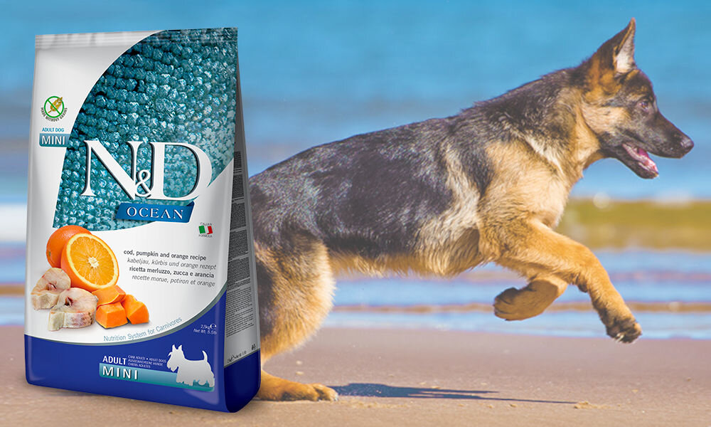Karma dla psa Karma dla psa FARMINA N&D Ocean Dorsz z dynią i pomarańczą Adult Mini 2,5 kg dawkowanie analiza sklad