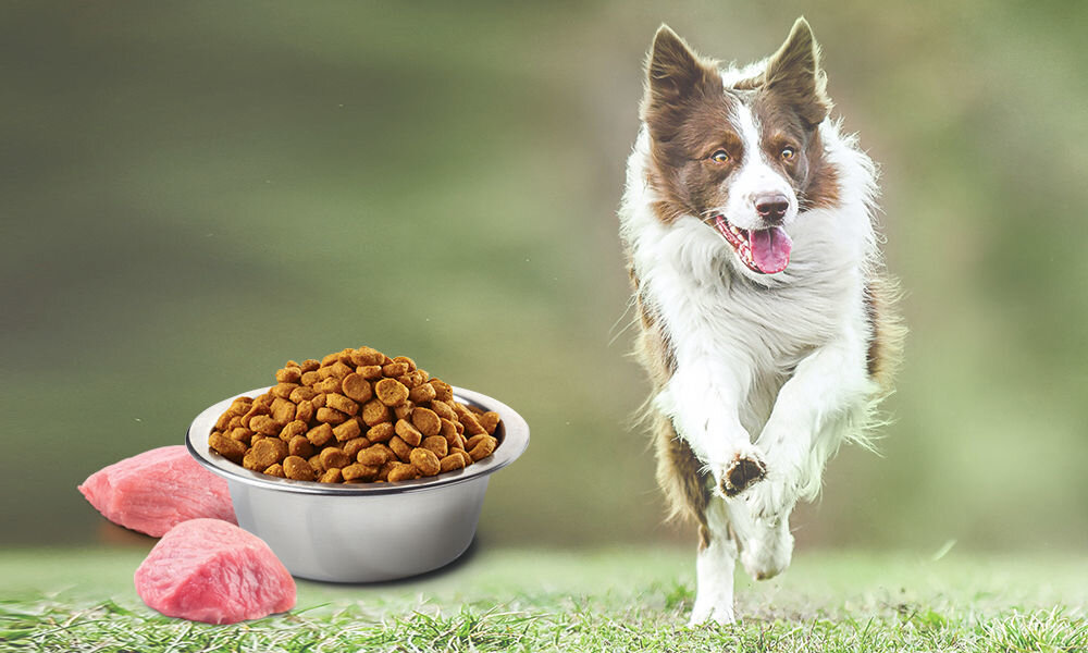 Karma dla psa FARMINA N&D Jagnięcina z dynią i borówką Adult Medium&Maxi 2,5 kg naturalne składniki wielkość krokietów