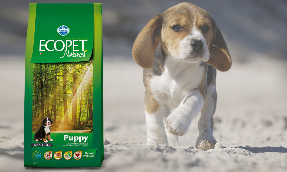 Karma dla psa FARMINA Ecopet Natural Puppy Maxi Kurczak 12 kg dawkowanie analiza sklad