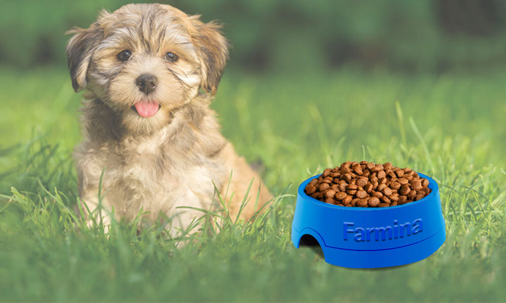 Karma dla psa FARMINA Ecopet Natural Puppy Maxi Kurczak 12 kg witaminy pierwiastki aminokwasy