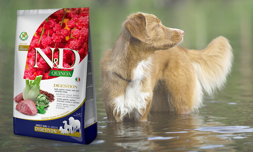 Karma dla psa Karma dla psa FARMINA N&D Quinoa Digestion Jagnięcina & Koper włoski 2,5 kg dawkowanie analiza sklad
