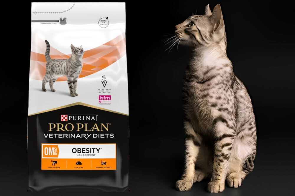Karma dla kota PURINA Pro Plan Veterinary Diets Feline OM St/Ox Obesity Management 1,5 kg dodatki analiza