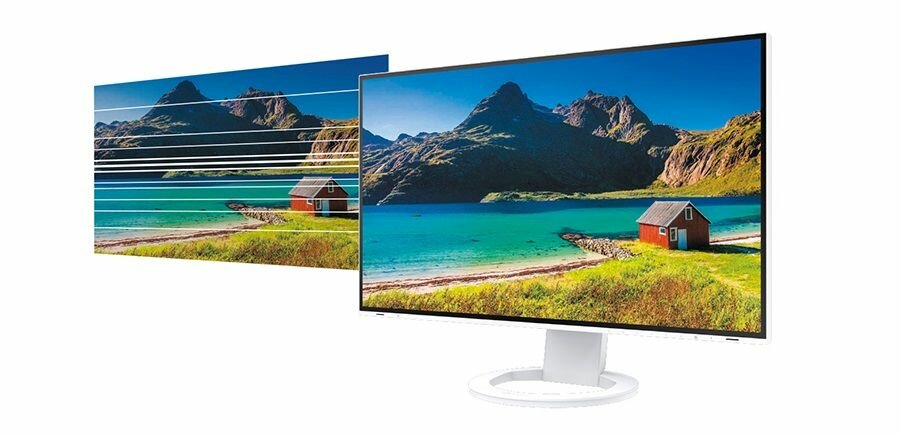 Monitor EIZO FlexScan EV2495 24 1920x1200px IPS - Flicker-Free 