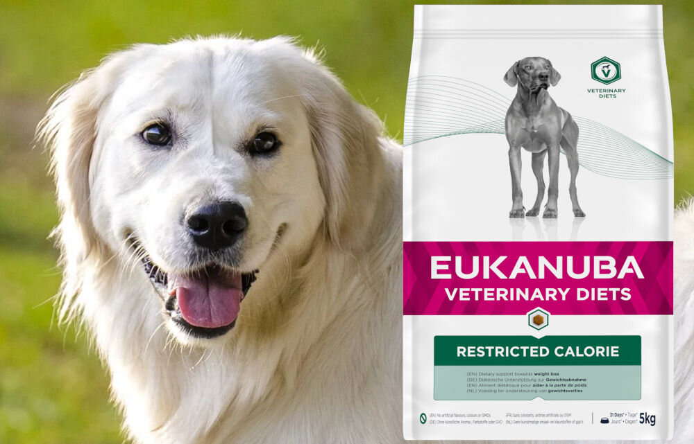 Karma dla psa EUKANUBA Veterinary Diets Restricted Calorie Kurczak 5 kg dawkowanie analiza sklad