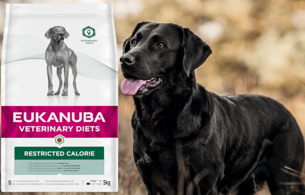 Karma dla psa EUKANUBA Veterinary Diets Restricted Calorie Kurczak 5 kg dawkowanie analiza sklad