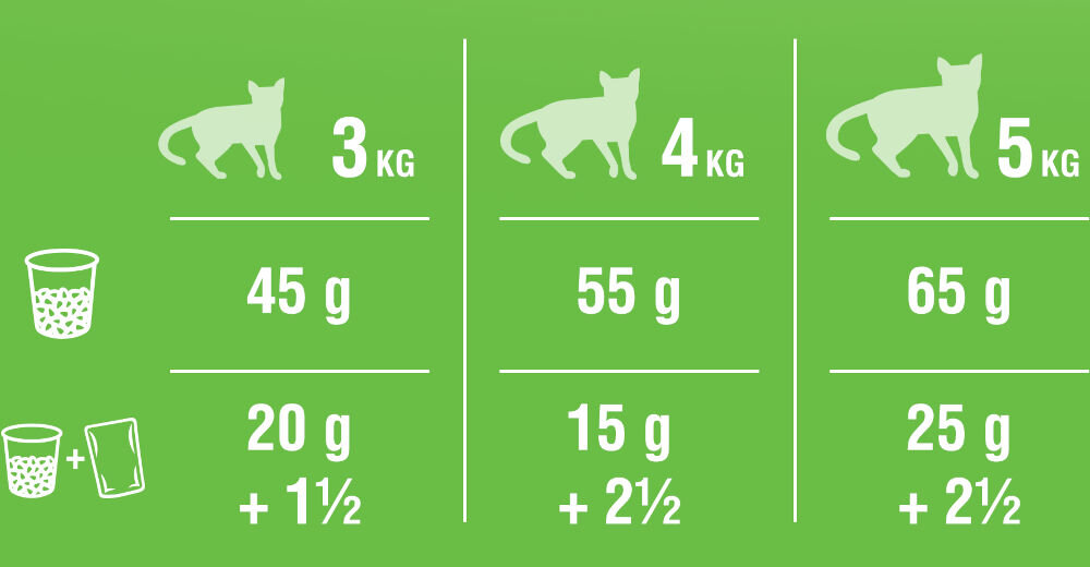 Karma dla kota KITEKAT Wołowina i Warzywa 300 g dawkowanie analiza sklad