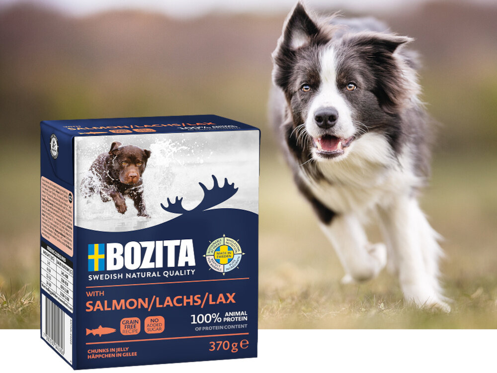 Opakowanie karmy dla psa marki BOZITA z wizerunkiem psa w wodzie i napisami \'SALMON/LACHS/LAX\' oraz \'370 g\'. Obok opakowania znajduje się pies na tle trawy.