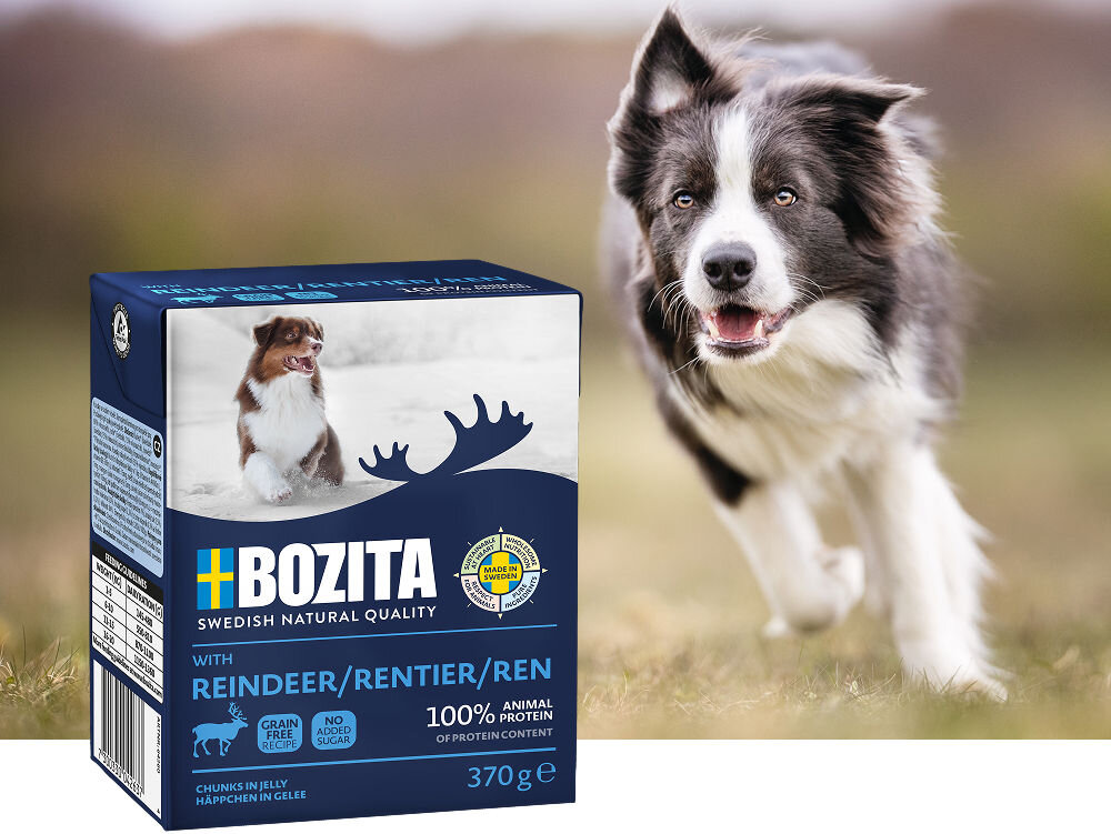 Na obrazie widoczna jest paczka karmy dla psa marki BOZITA z napisem \'REINDEER/RENTIER/REN\' oraz pies w tle. Opakowanie zawiera informacje \'100% animal protein\' i \'370 g\'.