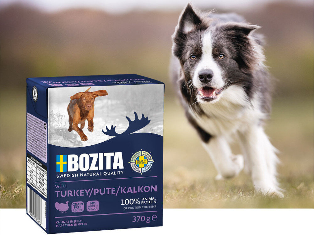 Karma dla psa BOZITA Kurczak z ryżem w galaretce 370 g, premium, karma, jedzenie, zwierzę, Pies biegnący obok karmy Bozita z indykiem na zielonej łące.