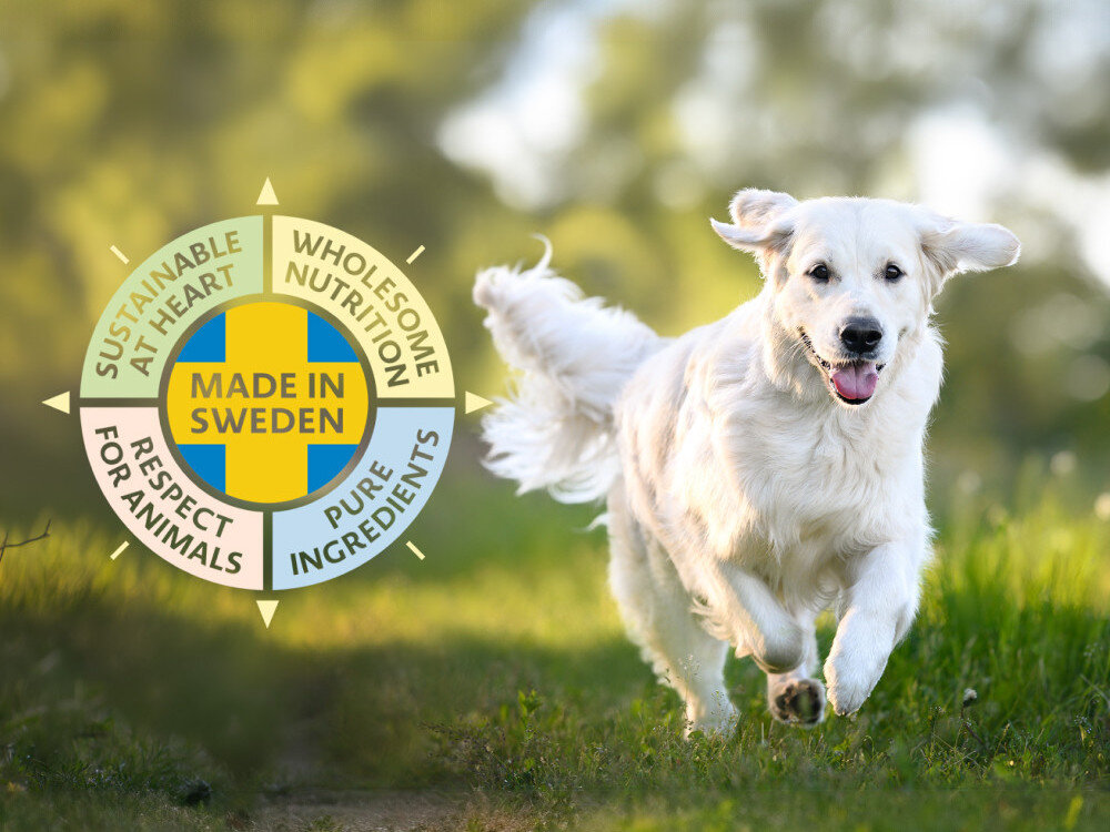 Na obrazie widać biegnącego psa na tle zielonego krajobrazu. Obok psa znajduje się okrągły emblemat z napisem \'MADE IN SWEDEN\' oraz hasłami: \'SUSTAINABLE AT HEART\', \'WHOLESOME NUTRITION\', \'RESPECT FOR ANIMALS\', \'PURE INGREDIENTS\'.