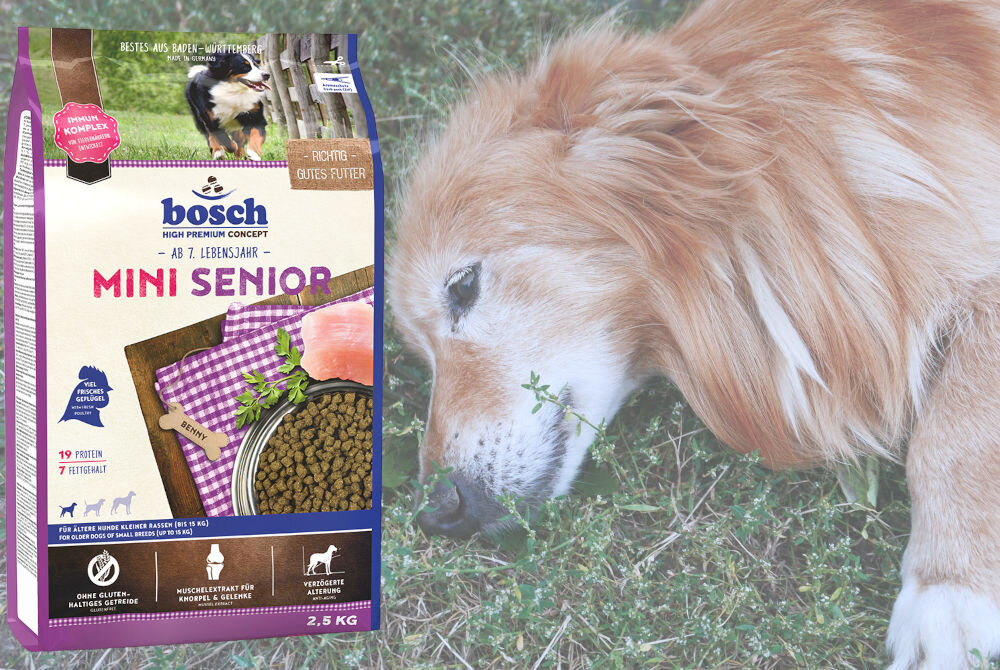 Karma dla psa BOSCH Mini Senior Drób 2,5 kg dodatki witaminy minerały