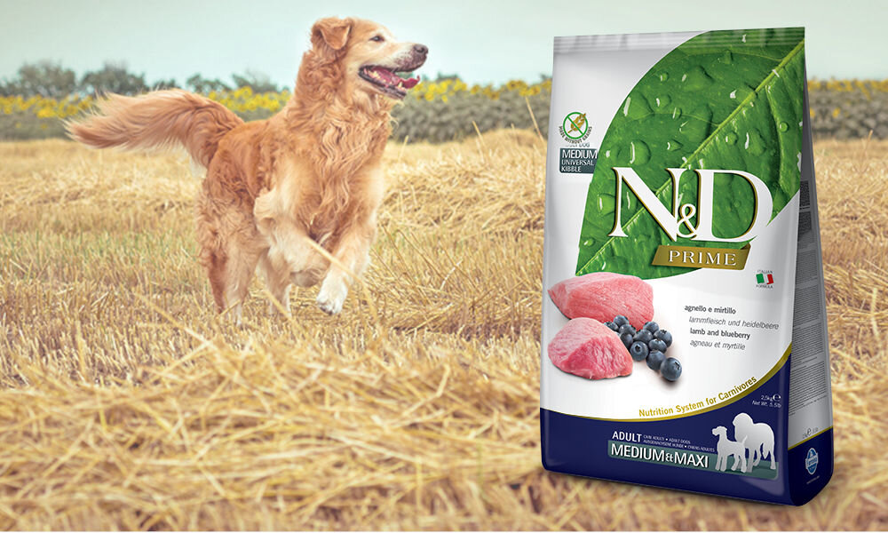 Karma dla psa FARMINA N&D Prime Jagnięcina z borówką Medium & Maxi 2.5 kg dawkowanie analiza sklad
