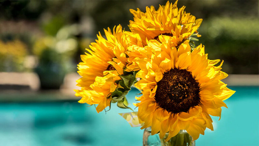 Telewizor LG LM6370  - Dynamic color