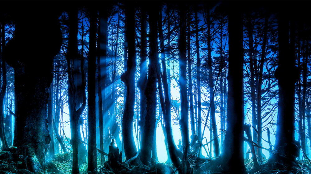 Telewizor LG NANO863PA - ogólny