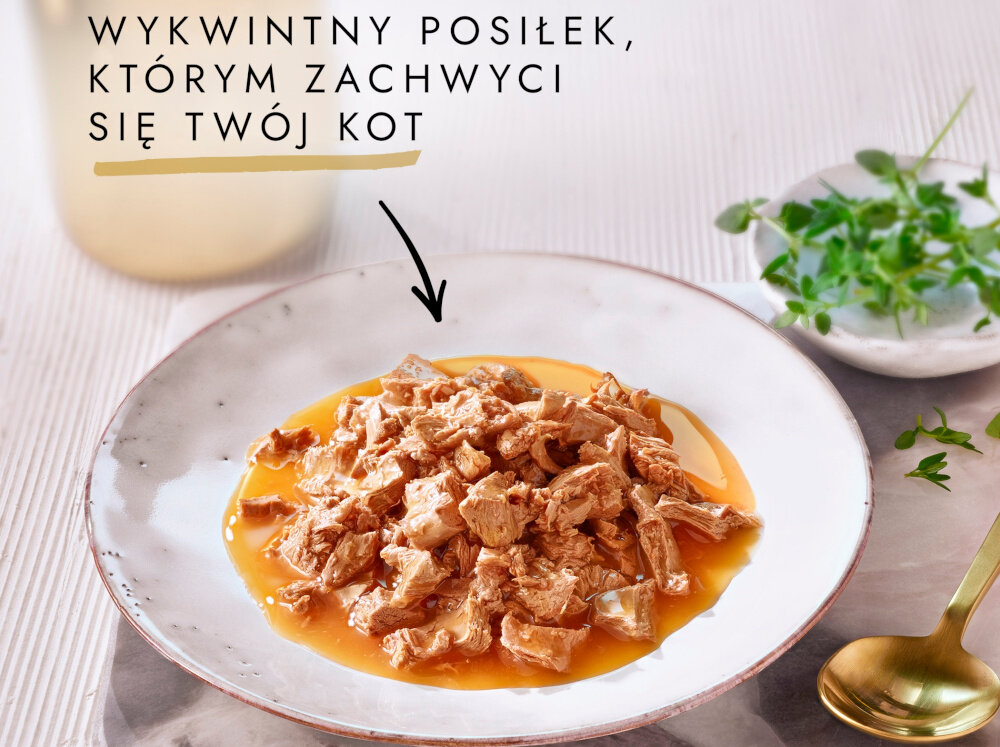 Karma dla kota GOURMET Gold Kawałki w smakowitym sosie z kurczakiem 85 g widok z góry talerz z karmą jasne tło napis Gold smak karma dla kota pełnoporcjowe danie