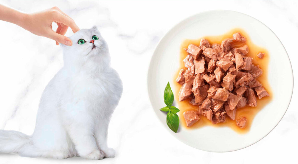 Karma dla kota GOURMET Gold Kawałki w smakowitym sosie z kurczakiem 85 g jasne tło biały kot miska z karmą nie zawiera dodatku barwników sztucznych aromatów sztucznych konserwantów poręczna puszka o masie 85 g jednorazowe opakowanie