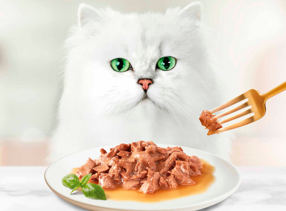 Karma dla kota GOURMET Gold Kawałki w smakowitym sosie z kurczakiem 85 g kolaż zdjęć z karmą skład kurczak 4%