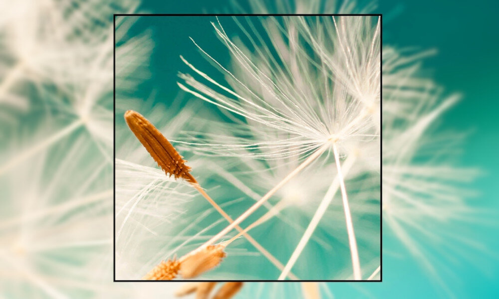 Projektor ACER X1328WH obraz przekątna rozdzielczość zoom zastosowanie