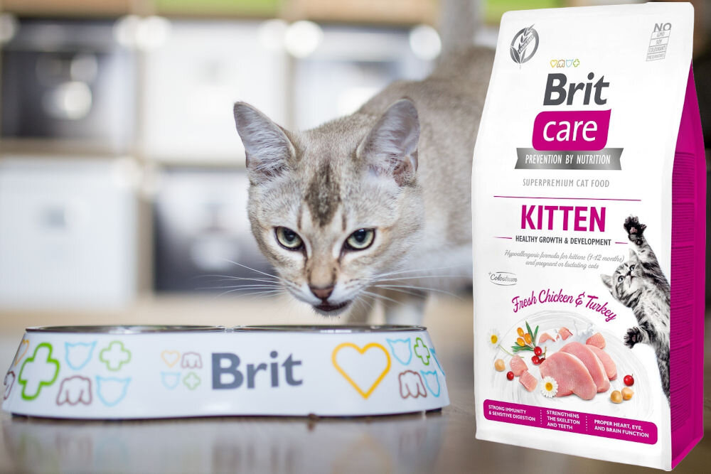 Karma dla kota BRIT CARE Grain-Free Kitten Indyk i Kurczak 7 kg witaminy zdrowie