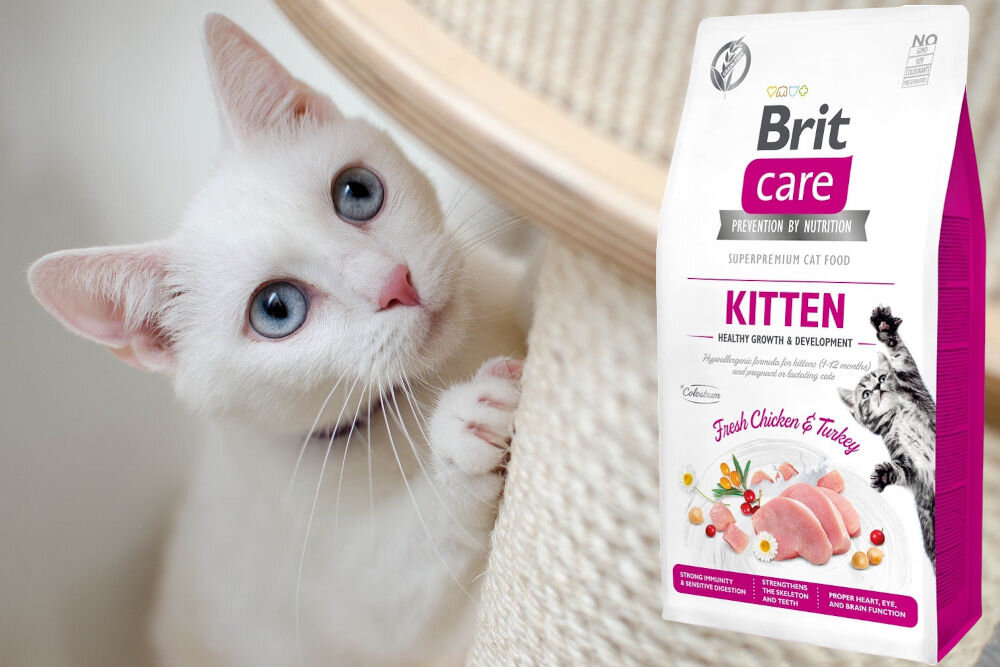 Karma dla kota BRIT CARE Grain-Free Kitten Indyk i Kurczak 7 kg sklad zywienie