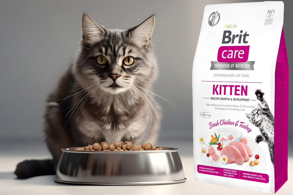 Karma dla kota BRIT CARE Grain-Free Kitten Indyk i Kurczak 7 kg dodatki analiza