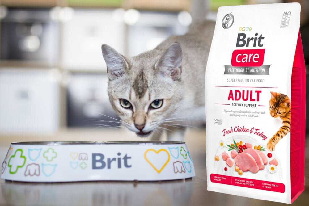 Karma dla kota BRIT Care Grain-Free Adult Indyk i Kurczak 7 kg witaminy zdrowie