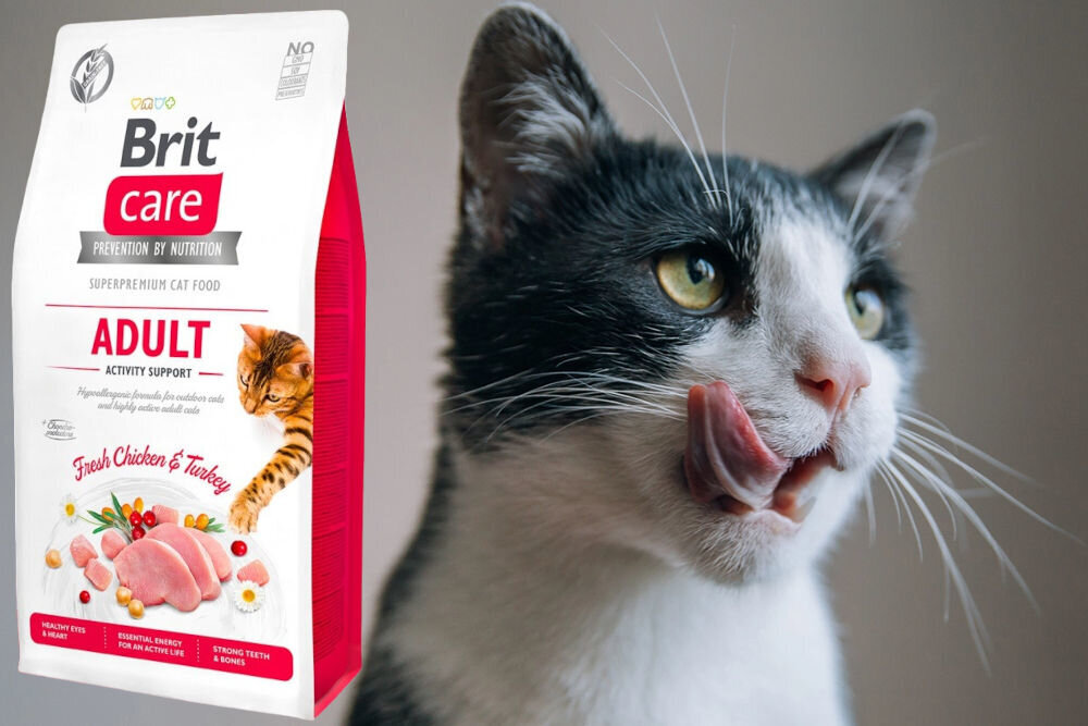 Karma dla kota BRIT Care Grain-Free Adult Indyk i Kurczak 7 kg dodatki analiza