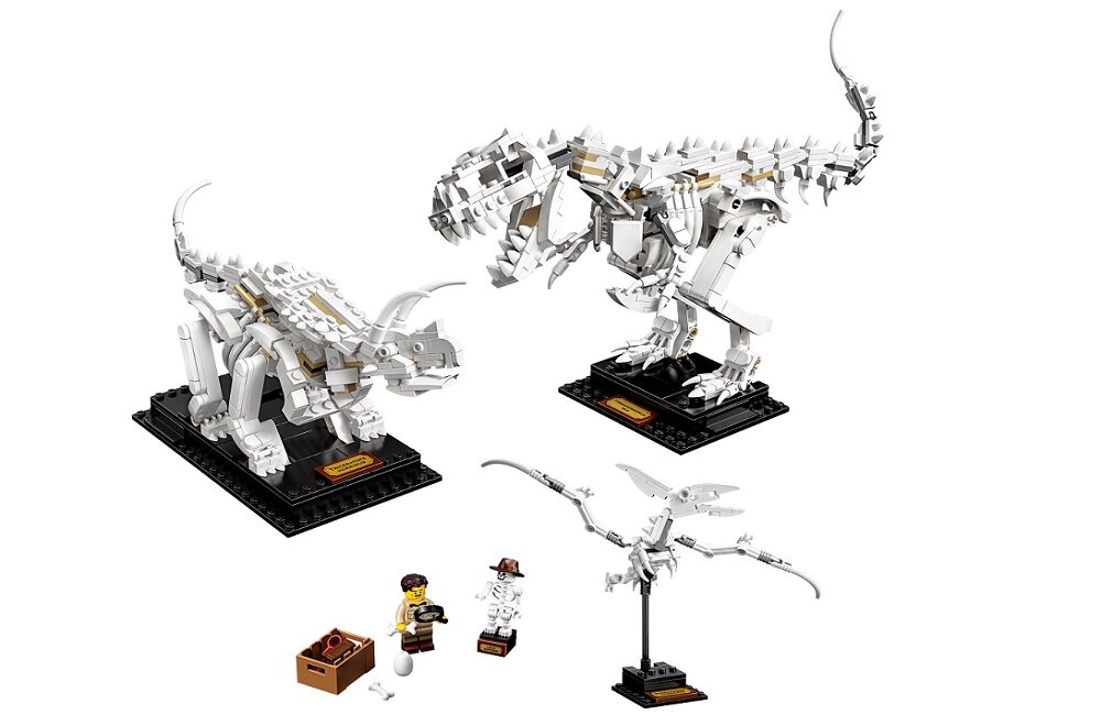 LEGO Ideas Szkielety dinozaurów 21320 Archeologiczny zestaw ucieszy każdego dorosłego fana dinozaurów dekoracja pomieszczenia od 16 roku życia