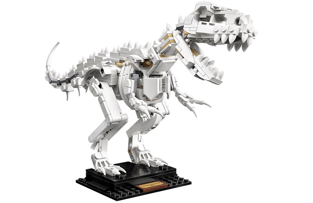 LEGO Ideas Szkielety dinozaurów 21320 Wspaniała ozdoba kolekcji wymiary