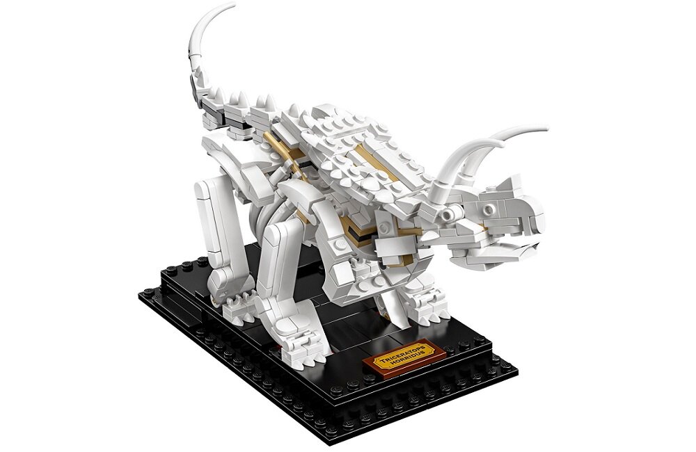 LEGO Ideas Szkielety dinozaurów 21320 Pomoc w rozwoju życiowych umiejętności
