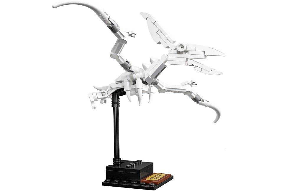 LEGO Ideas Szkielety dinozaurów 21320 Broszura z przejrzystymi instrukcjami