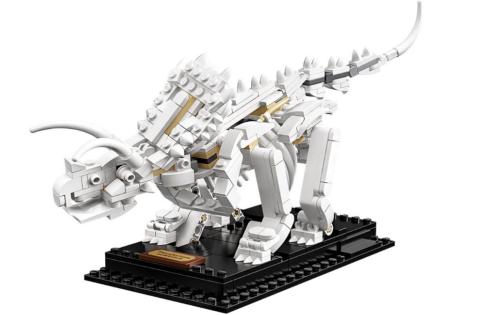 LEGO Ideas Szkielety dinozaurów 21320 Wysoka jakość