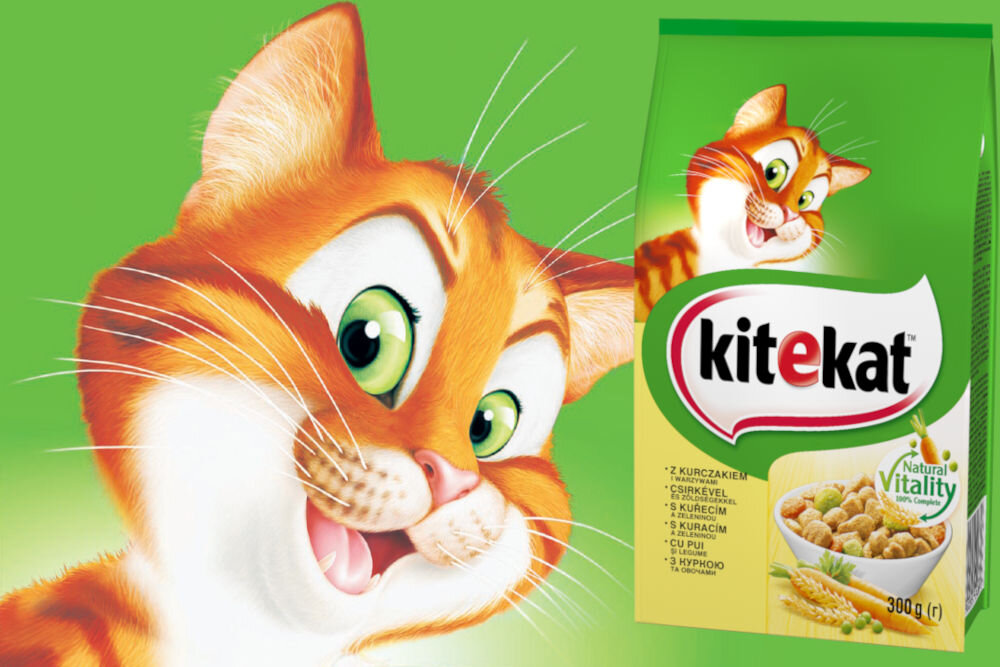 Karma dla kota KITEKAT Kurczak i Warzywa 300 g witaminy pierwiastki aminokwasy
