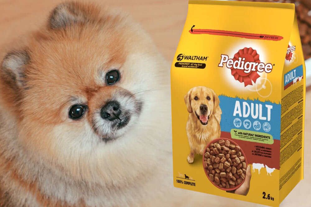 Karma dla psa PEDIGREE Vital Protection Wołowina z drobiem 2,6 kg naturalne składniki