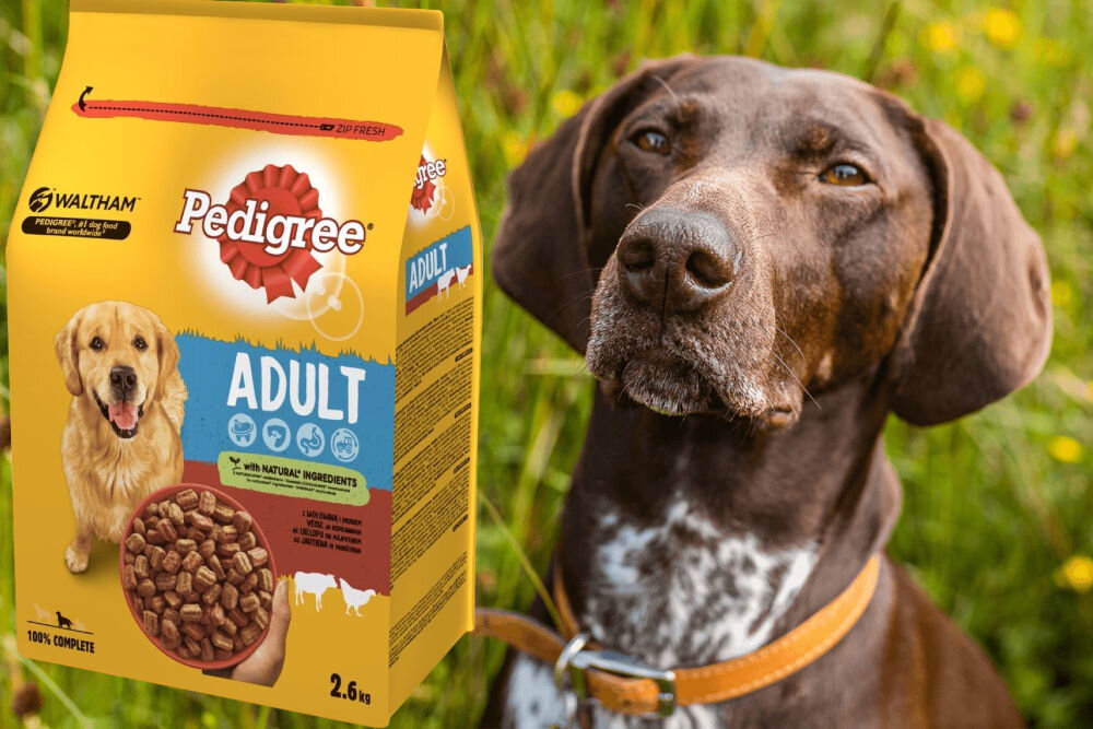 Karma dla psa PEDIGREE Vital Protection Wołowina z drobiem 2,6 kg dawkowanie analiza sklad