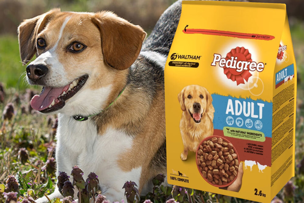 Karma dla psa PEDIGREE Vital Protection Wołowina z drobiem 2,6 kg witaminy pierwiastki aminokwasy
