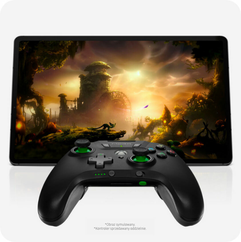 phpQzyzjY phpQnWVRX Sekcja gry obraz-1