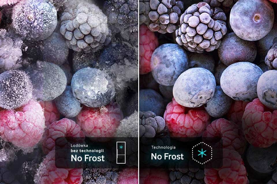 phpgDWwZN Kafelek no frost phpgDWwZN Kafelek no frost