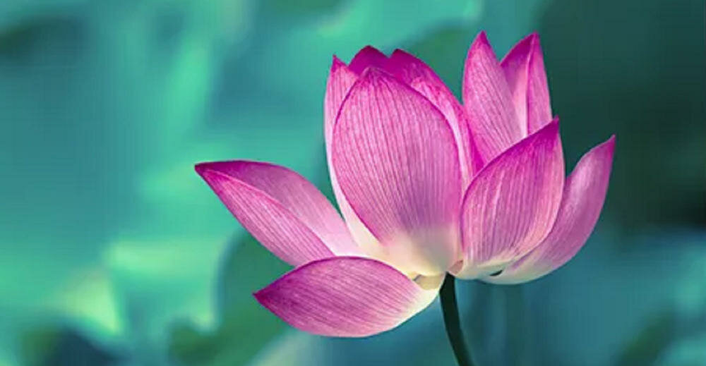 TCL-FF0914WD0PL pralka środowisko ubrania oszczędność energia elektryczna