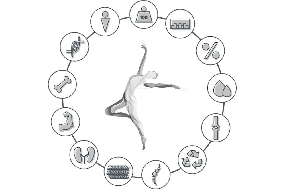 Waga CONCEPT VO4010 analiza ciala kondycja