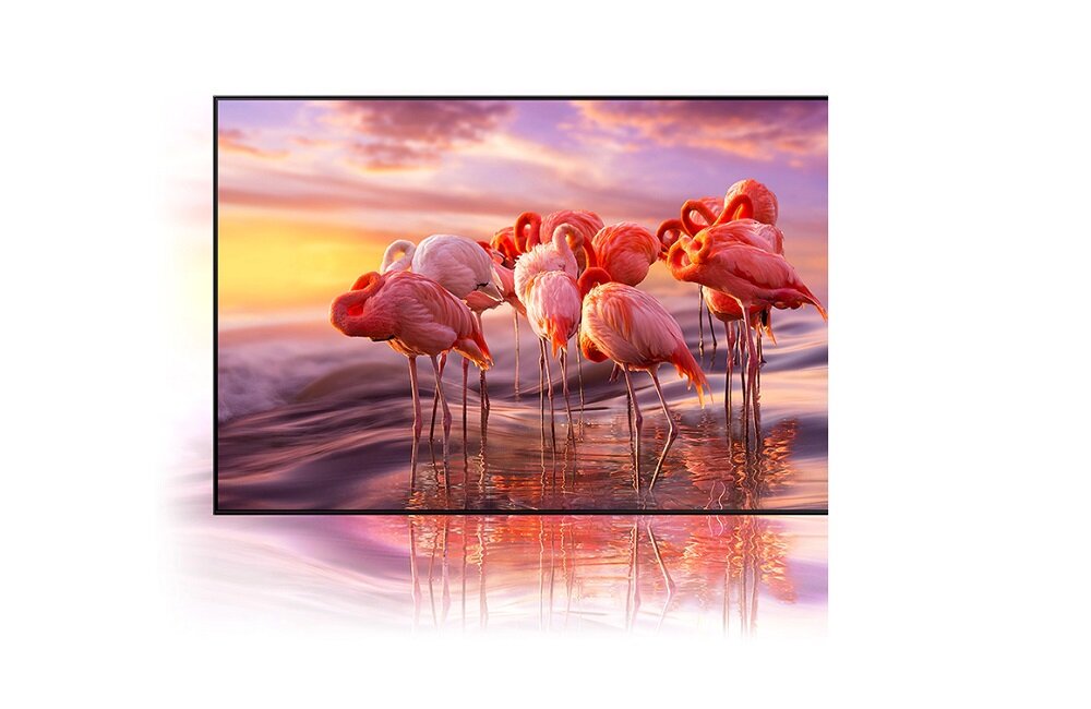 SAMSUNG LED TV QE65QN85A Технология квантовых точек