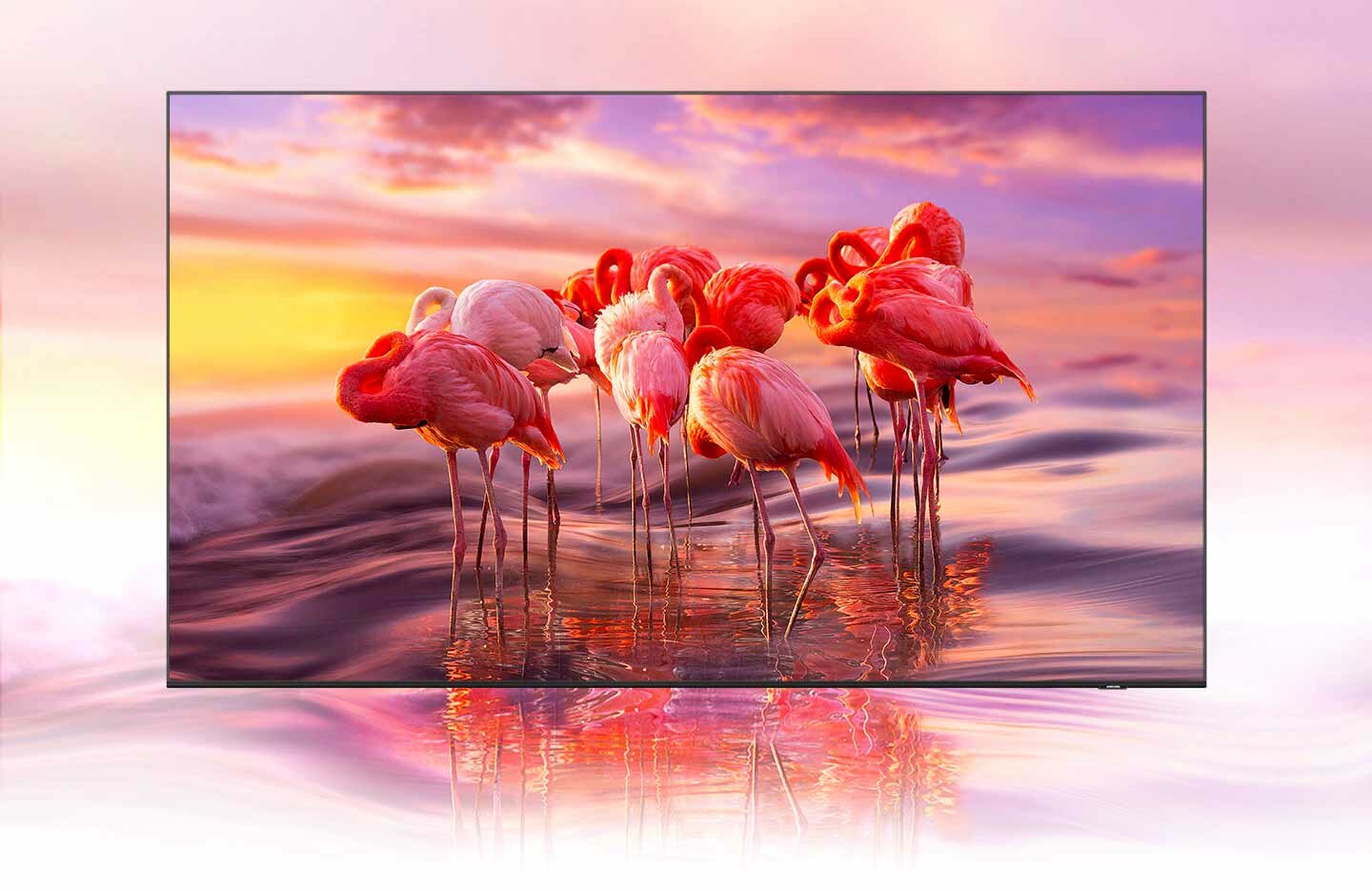 phphLud9S 100natezenie phphLud9S 100natezenie