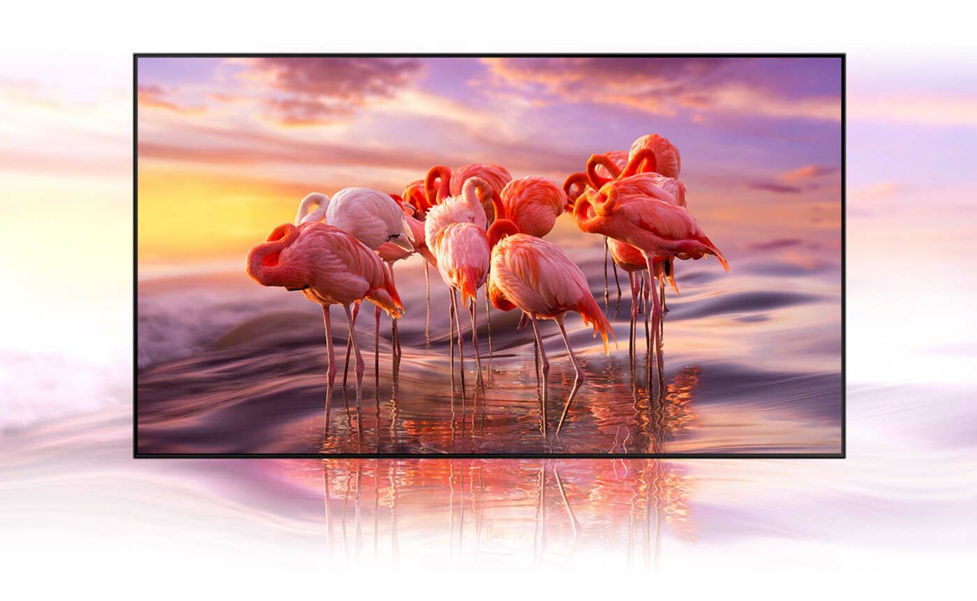 php1LBQmY miliarperfekcyjnychkolorow