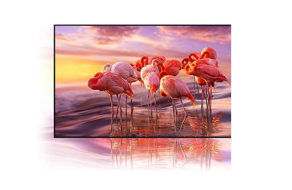 SAMSUNG QLED TV QE65Q77A Технологія квантових точок 