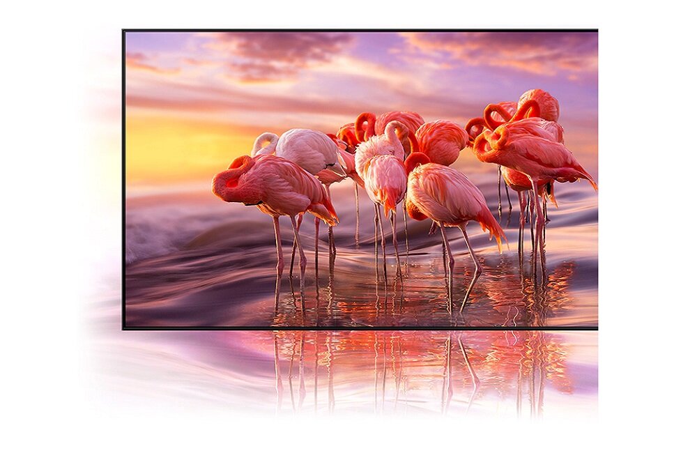 SAMSUNG LED TV QE65QN800AT Один мільярд ідеальних колірних відтінків Технологія квантових точок